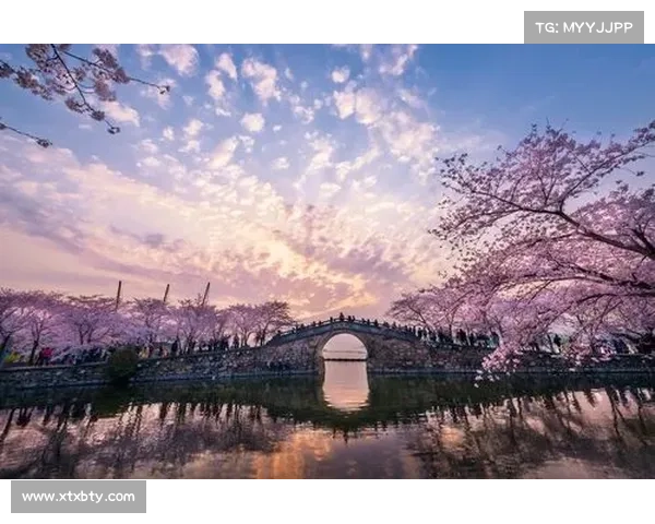 2018无锡年度盛大赛事全景回顾